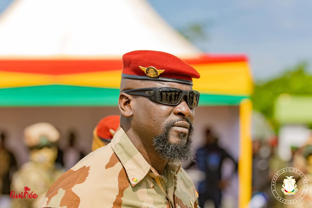 Guinée : 50 permis miniers retirés par décret présidentiel