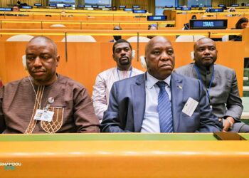 Guinée : un ambitieux Pacte National de l’Énergie validé