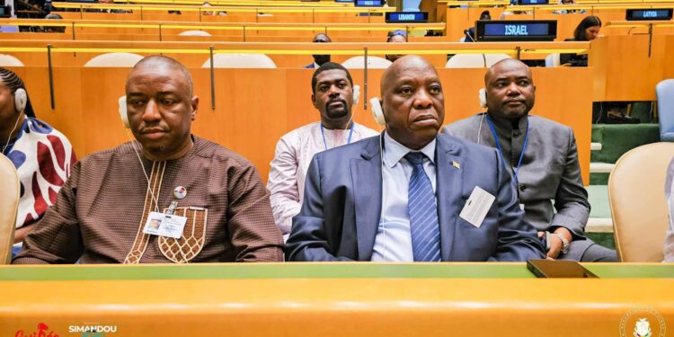 Guinée : un ambitieux Pacte National de l’Énergie validé