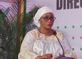 Référendum constitutionnel : premiers résultats partiels publiés par la DGE