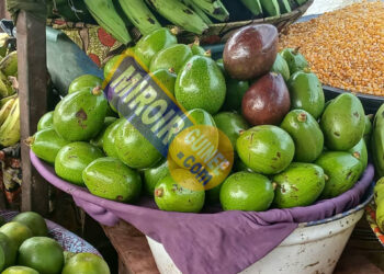 Conakry : 10 000 FG l’avocat, 15 000 FG pour deux — le coût de la vie explose !