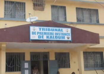 Procès du jeune tiktokeur Dadis Bangoura : la plaignante se désiste