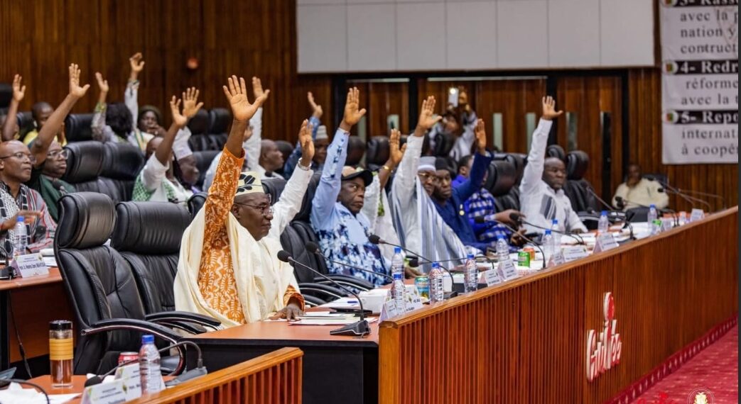 Guinée : Le CNT adopte cinq projets de loi en faveur de la culture et de la recherche