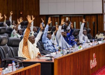 Guinée : Le CNT adopte cinq projets de loi en faveur de la culture et de la recherche