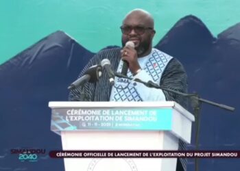 Trop souvent, ceux qui maîtrisaient le verbe ont trahi l’espérance du peuple, menti au nom du patriotisme (Par Barry 3)