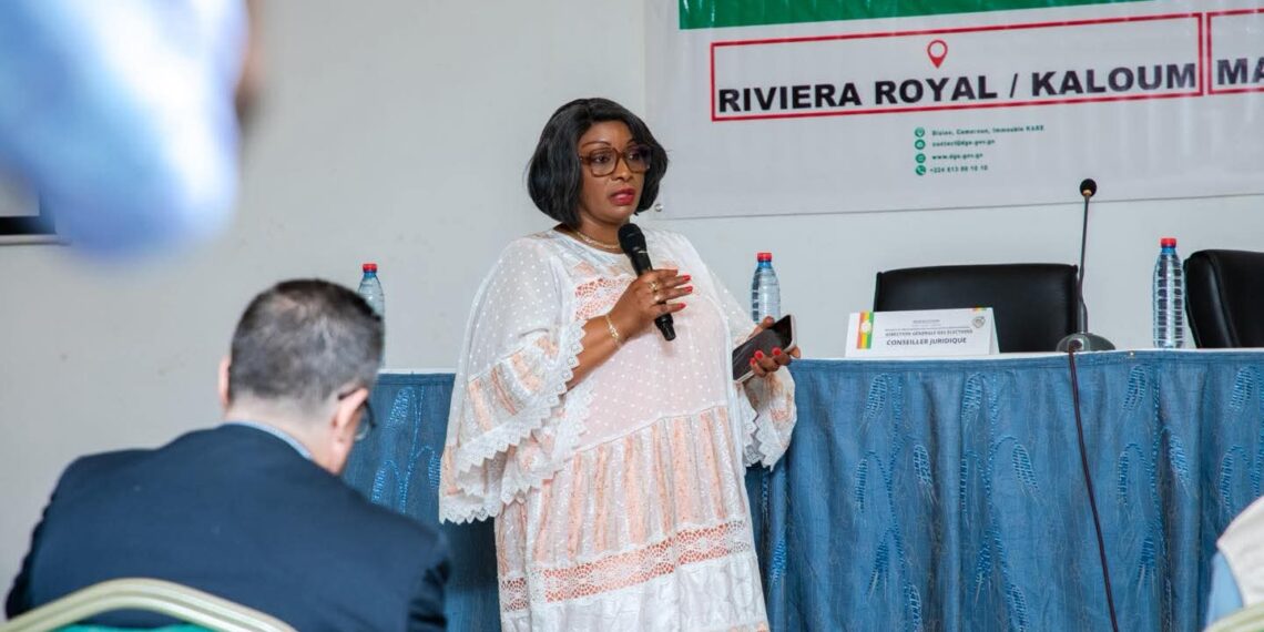 Élection présidentielle du 28 décembre 2025 : les observateurs électoraux renforcent leurs capacités à Conakry