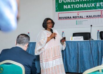 Élection présidentielle du 28 décembre 2025 : les observateurs électoraux renforcent leurs capacités à Conakry