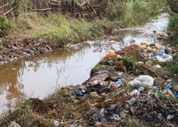 Mamou : une opération d’assainissement menée au marigot de Kimbély