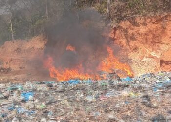 Mamou frappe fort : drogue et médicaments illicites réduits en cendres