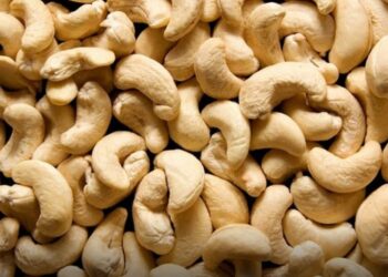 Détournement présumé de conteneurs de noix de cajou à Conakry : Sudhanshu Das confronté aux parties civiles