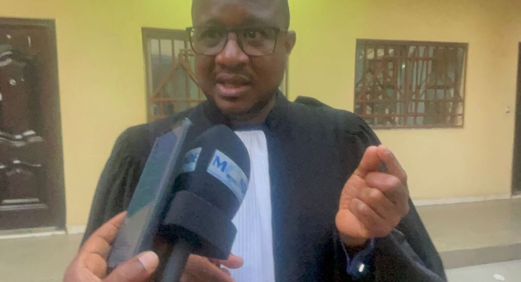 GUINEE- Affaire du Parc urbain de Conakry : l’avocat de la société VIDERI accuse Rio Tinto d’avoir trompé l’État