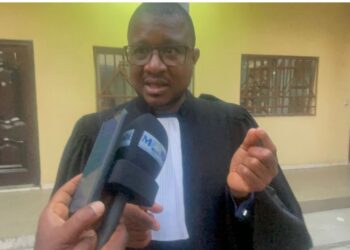 GUINEE- Affaire du Parc urbain de Conakry : l’avocat de la société VIDERI accuse Rio Tinto d’avoir trompé l’État