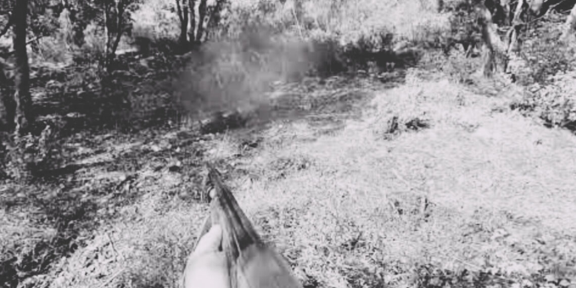 Guinée : une cueilleuse d’oranges abattue par erreur dans son village