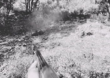 Guinée : une cueilleuse d’oranges abattue par erreur dans son village