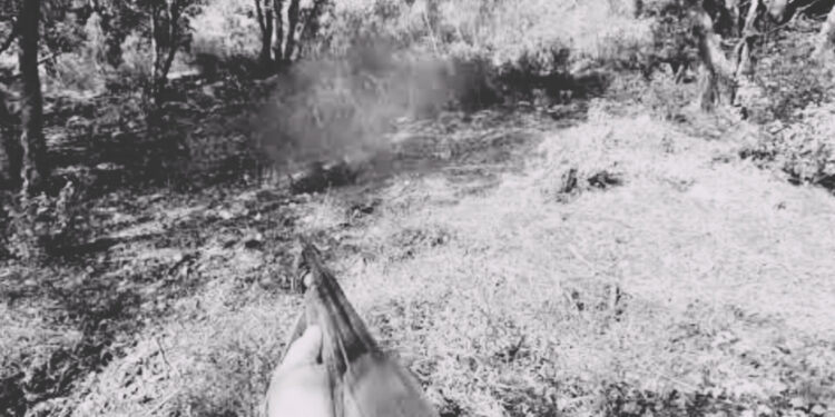 Guinée : une cueilleuse d’oranges abattue par erreur dans son village