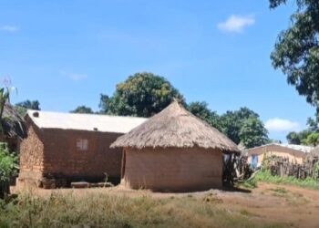 Préfecture de Siguiri : le district de Gnèrè confronté à un déficit d’eau potable