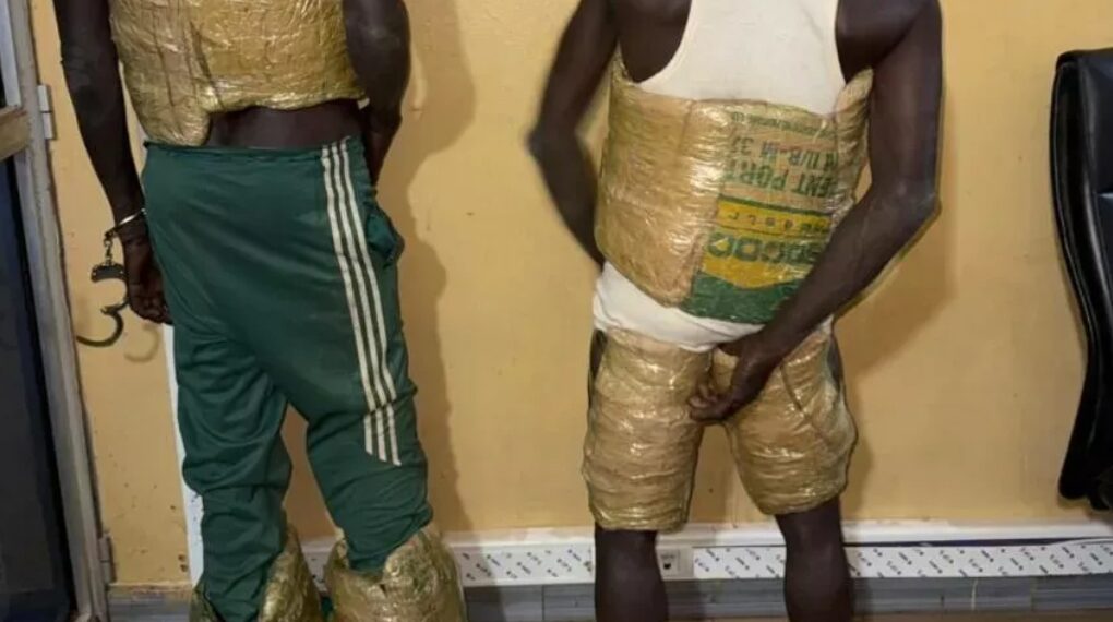 Saisie de faux médicaments à Kédougou : un dépôt clandestin démantelé par les Douanes