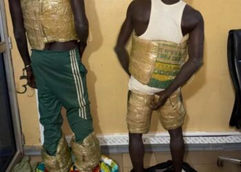 Saisie de faux médicaments à Kédougou : un dépôt clandestin démantelé par les Douanes