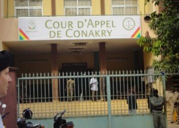 Guinée : le Parquet général de Conakry annonce un durcissement contre les infractions numériques