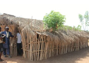 « Nos enfants sont mouillés en classe » : à Dar-es-Salam, l’école en grande difficulté