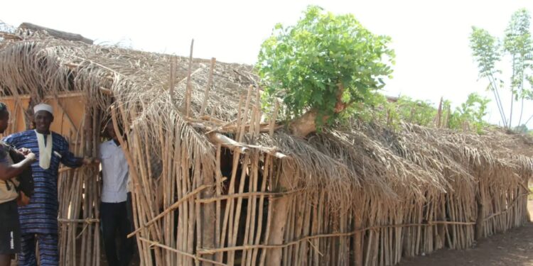 « Nos enfants sont mouillés en classe » : à Dar-es-Salam, l’école en grande difficulté