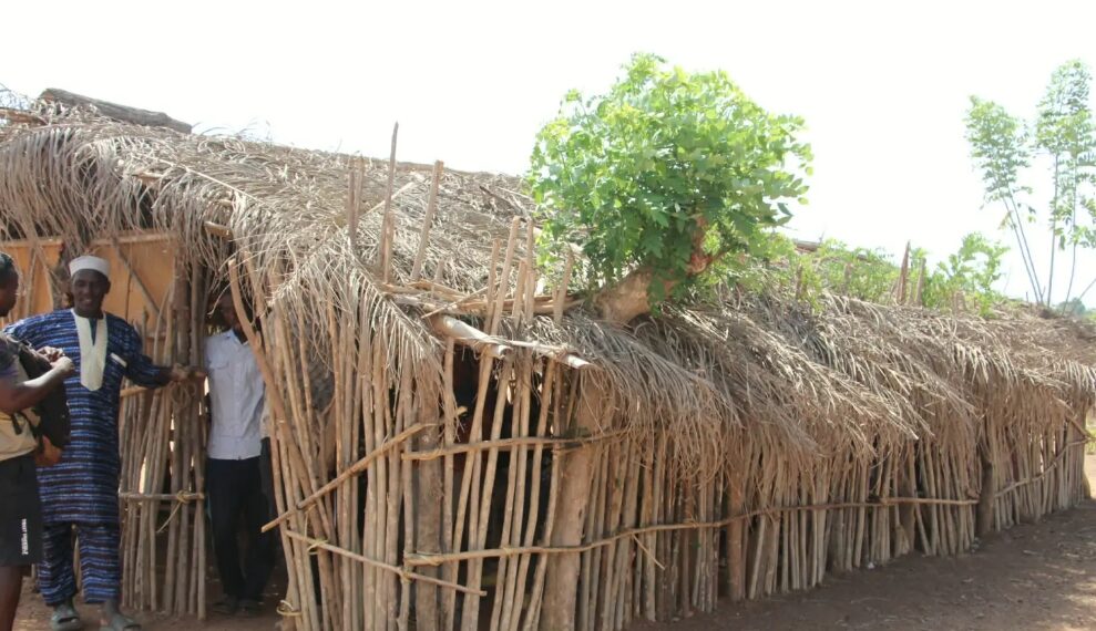 « Nos enfants sont mouillés en classe » : à Dar-es-Salam, l’école en grande difficulté