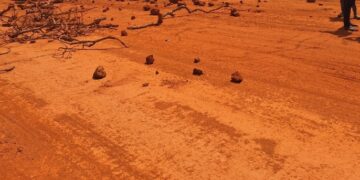 « Trop de poussière, nous avons barré la route » : des citoyens paralysent l’axe Mamou–Dalaba