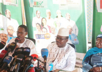« On n’a pas besoin de députés stagiaires », affirme Dr Dansa Kourouma