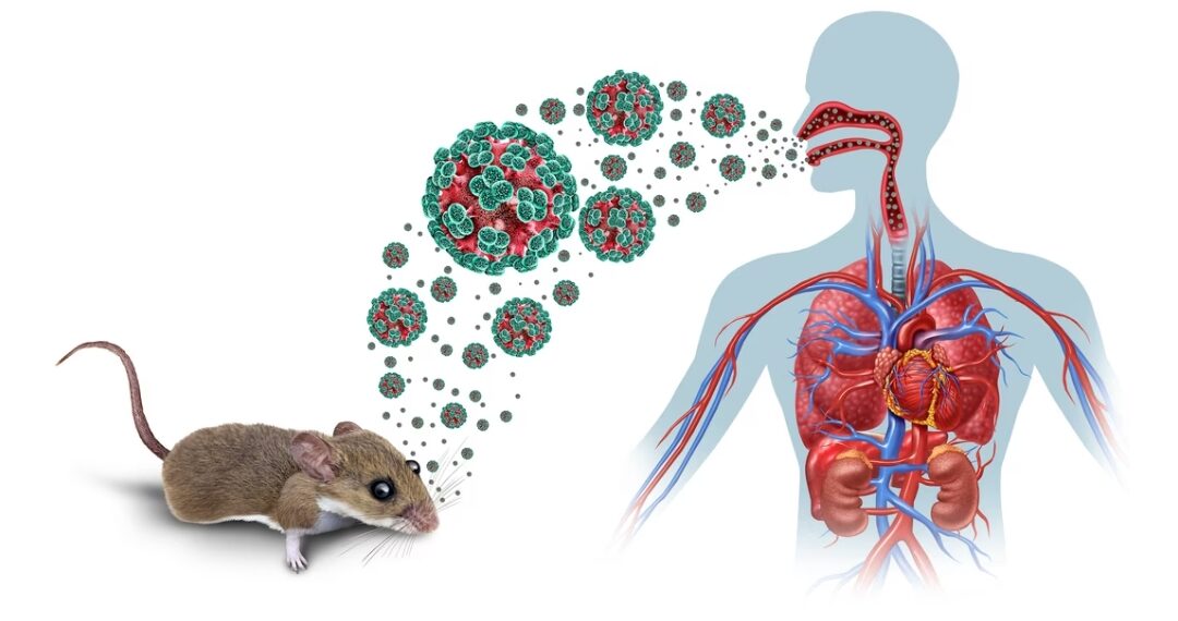 Alerte sur le continent : un virus mortel signalé au large du Cap-Vert