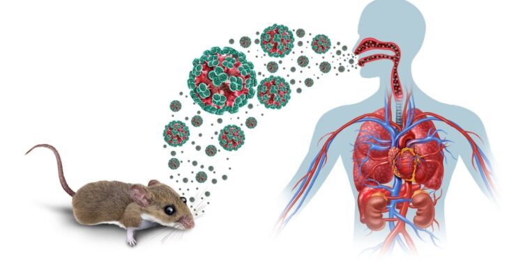 Alerte sur le continent : un virus mortel signalé au large du Cap-Vert