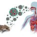 Alerte sur le continent : un virus mortel signalé au large du Cap-Vert