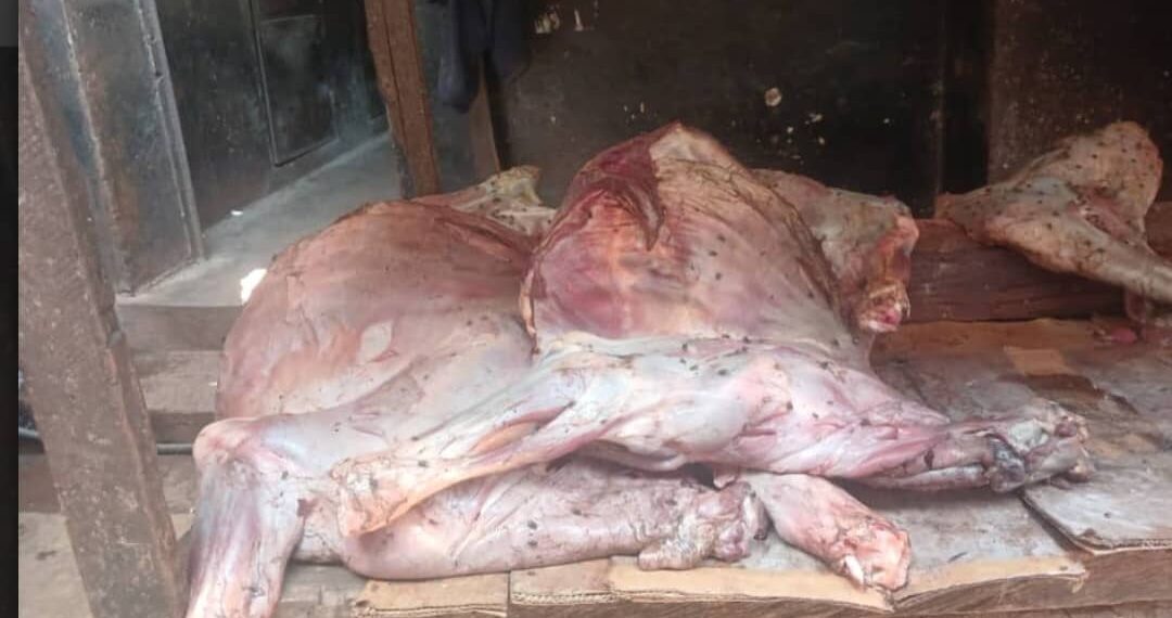 De la viande pourrie à Labé : le président des bouchers et deux autres personnes placés sous mandat de dépôt.