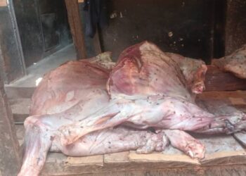 De la viande pourrie à Labé : le président des bouchers et deux autres personnes placés sous mandat de dépôt.
