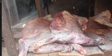 De la viande pourrie à Labé : le président des bouchers et deux autres personnes placés sous mandat de dépôt.