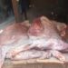 De la viande pourrie à Labé : le président des bouchers et deux autres personnes placés sous mandat de dépôt.