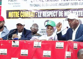 Dialogue inclusif inter-guinéen : les membres du CNP et du Secrétariat technique lancent leur collectif