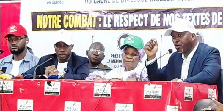 Dialogue inclusif inter-guinéen : les membres du CNP et du Secrétariat technique lancent leur collectif