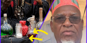 Elhadj Alseny Barry appelle les populations du Fouta à se méfier des faux guérisseurs