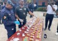 ​Guinée : L’OCAD annonce la saisie de 725 grammes de cocaïne à Ratoma