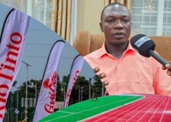 Parc urbain de Conakry : VIDERI ENTERPRISE réclame le règlement de ses travaux